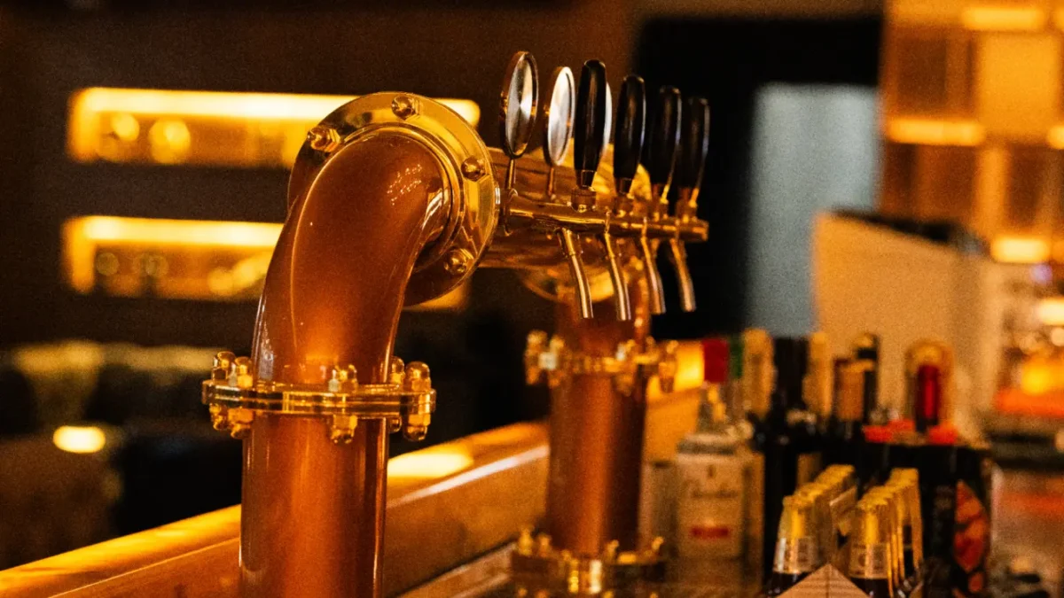 ¿Qué cerveza estás tomando? Las tres familias que definen su sabor, aroma y fermentación