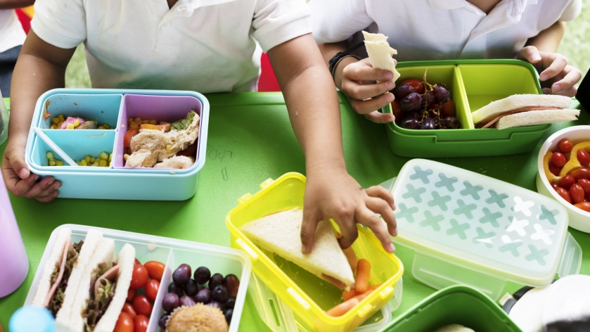 Regreso a clases 2026: 7 ideas de lunch sin productos con sellos