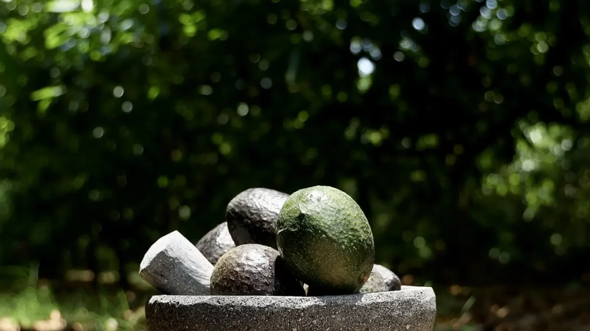 Aguacate duro, maduro o pasado: Cómo elegirlo, hacerlo madurar y conservarlo por más tiempo