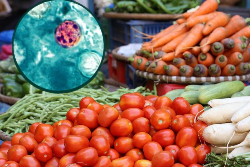 ¿El vinagre elimina la Cyclospora de las verduras? Esto dice una infectóloga