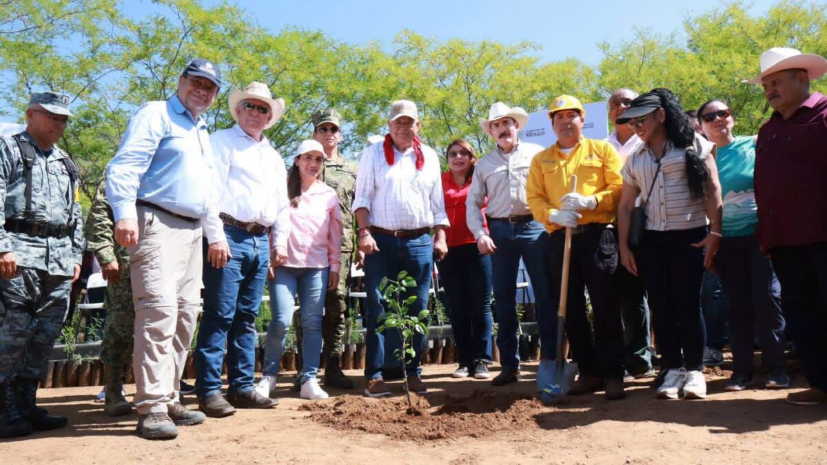BCS se suma a Jornada Nacional de Reforestación para fortalecer la conservación ambiental