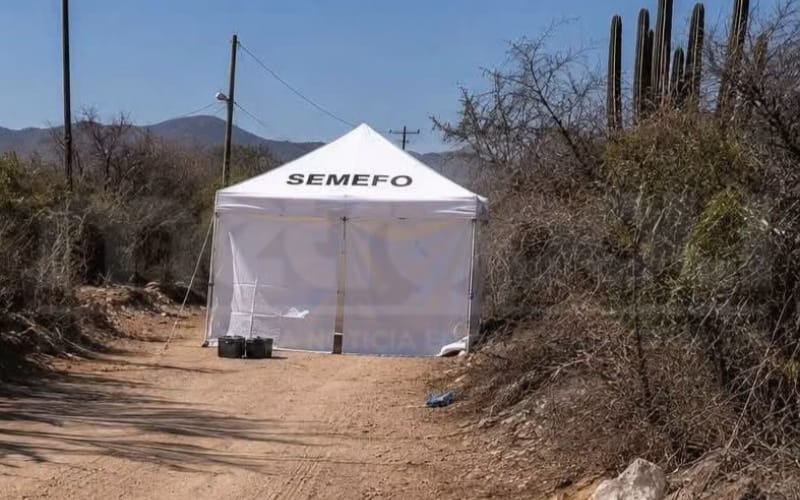 Encuentran cuerpo de una mujer en un predio de San José del Cabo