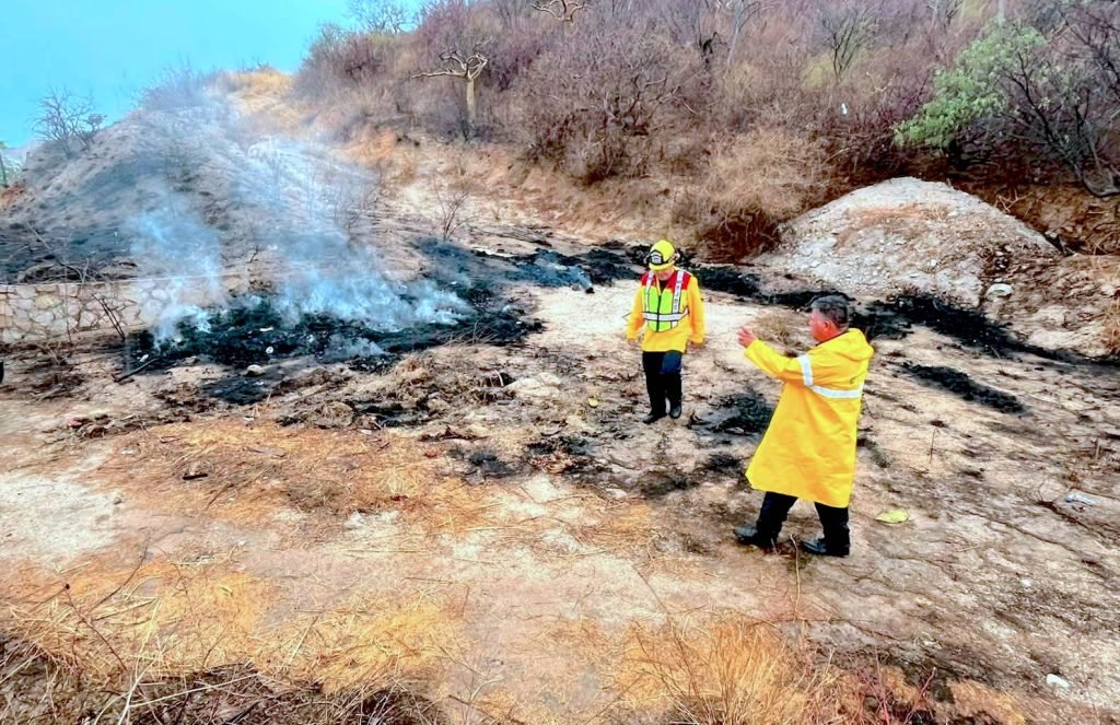 Atienden Bomberos incendio forestal entre Querencia y Palmilla