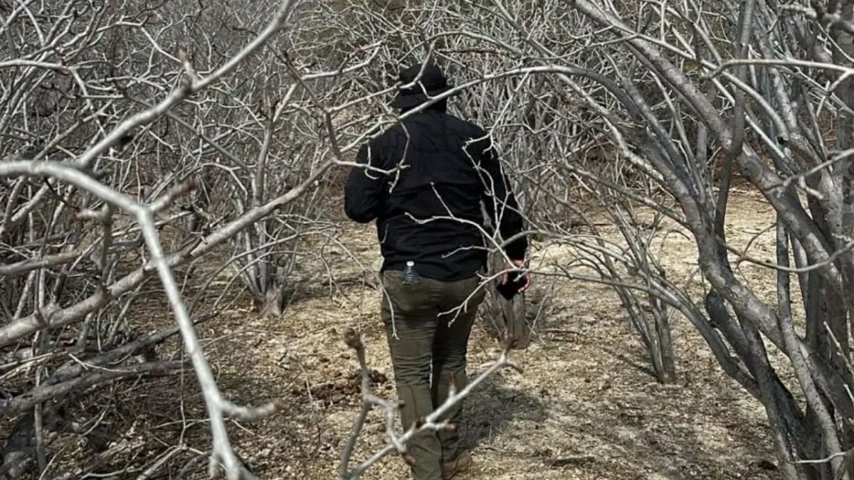 Hallan a dos hombres sin vida en menos de dos horas en La Paz