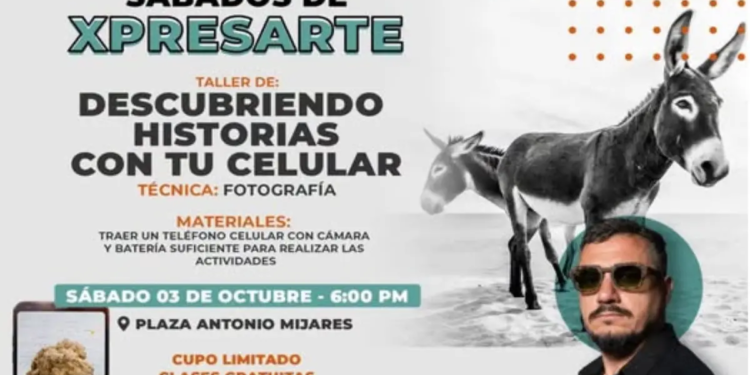 Aprende a contar historias con tu celular