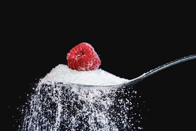 ¿La sucralosa daña el ADN? Nuevo estudio alerta de sustituto de azúcar; esto dice