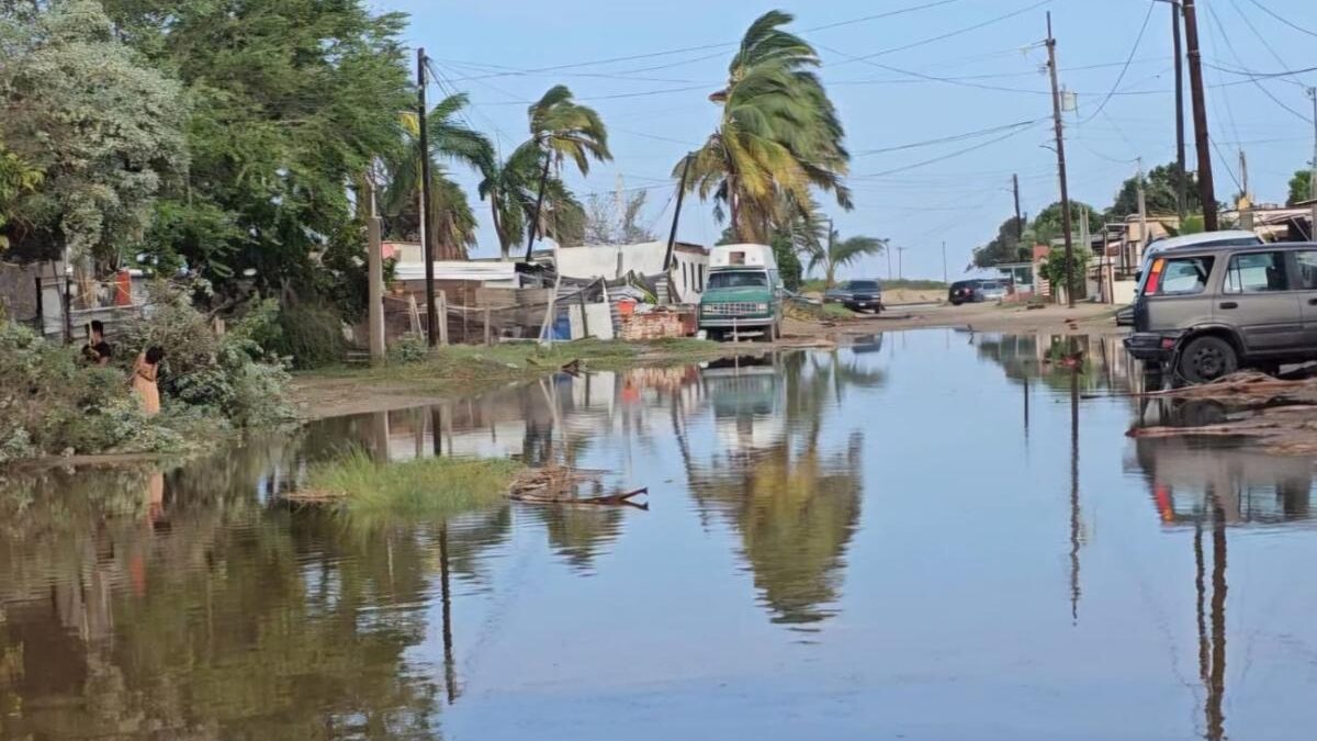 Tras el huracán Polo en BCS: familias lo pierden todo y enfrentan saqueos