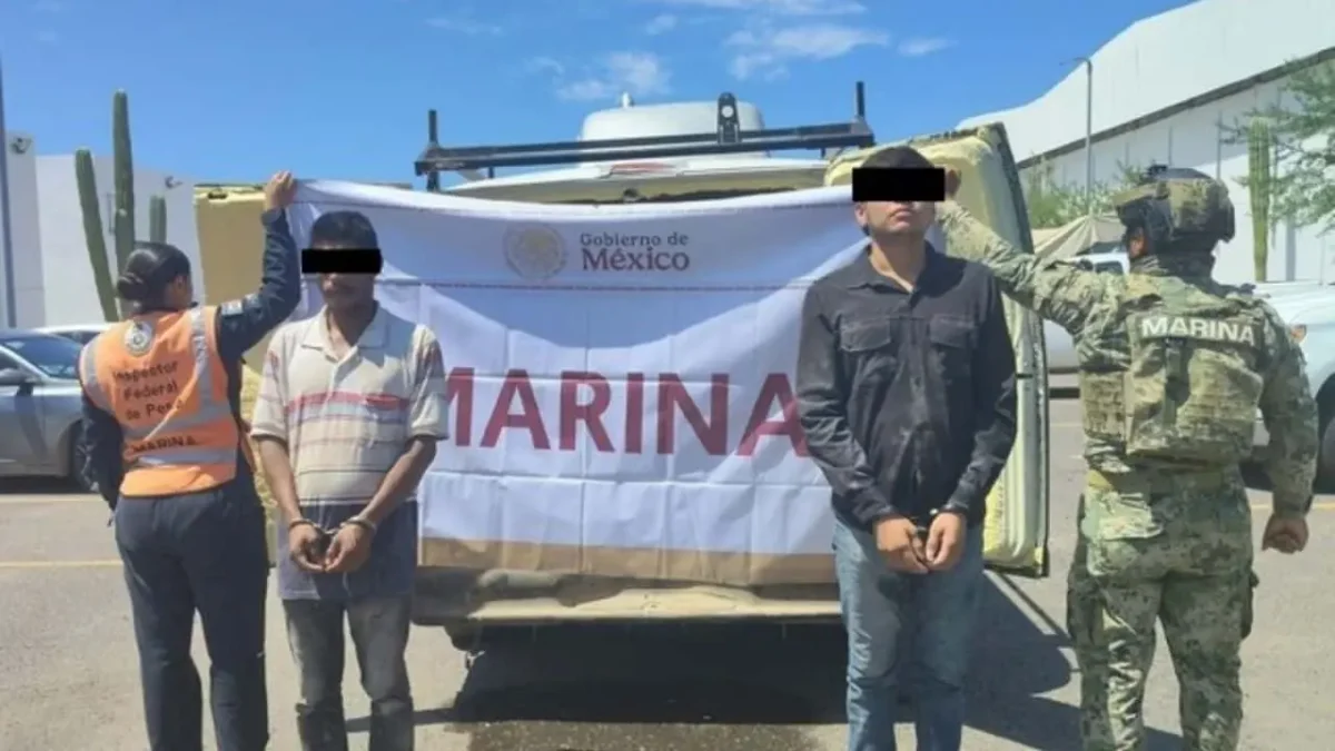 Operativo en BCS: decomisan 3 toneladas de almeja en veda junto con presuntas pastillas de fentanilo