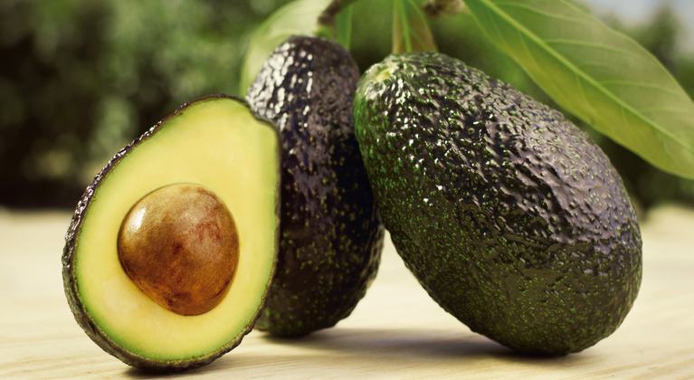 Satélites e IA rastrean el origen del aguacate mexicano para detectar deforestación