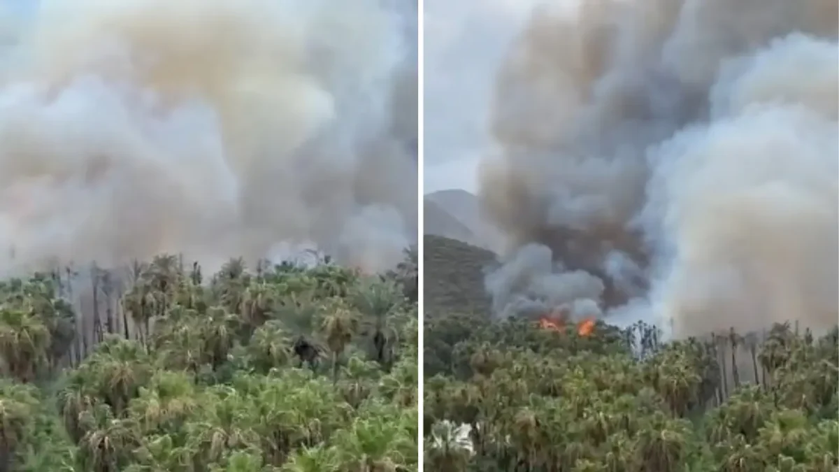 Se incendia palmar de Mulegé en plena alerta por el huracán Polo