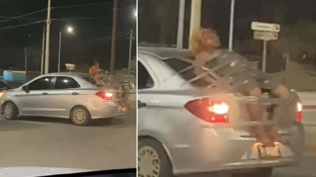 ¡Insólito en San José del Cabo! Captan a persona atada a un automóvil en movimiento