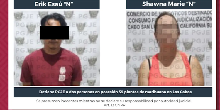 Vinculan a proceso a pareja por posesión de drogas y cartuchos