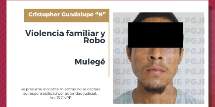 Procesan a Cristopher Guadalupe “N” por robo y violencia familiar