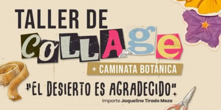 Invitan a taller de collage y caminata botánica
