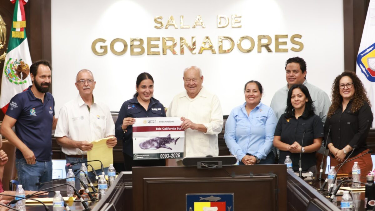 Atestigua Víctor Castro entrega de 112 distintivos para actividades de avistamiento y nado con tiburón ballena en La Paz
