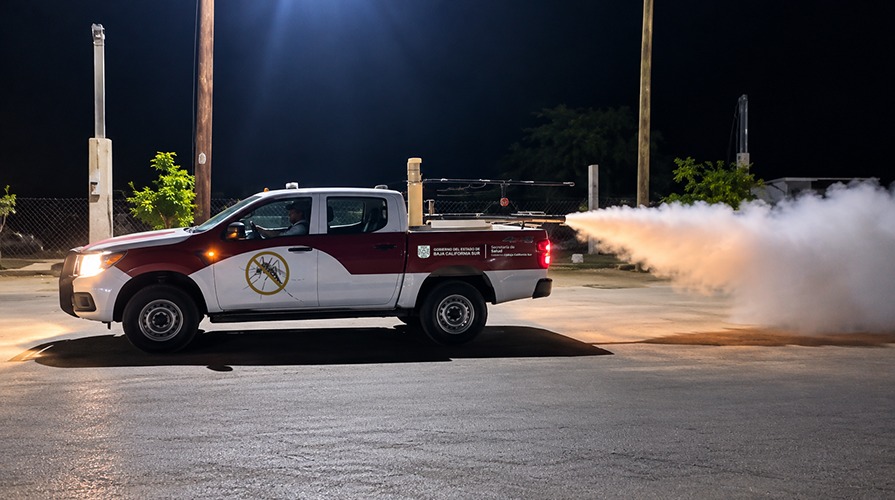 Refuerzan Salud y Ayuntamiento de Comondú jornadas para eliminar criaderos del mosquito del dengue