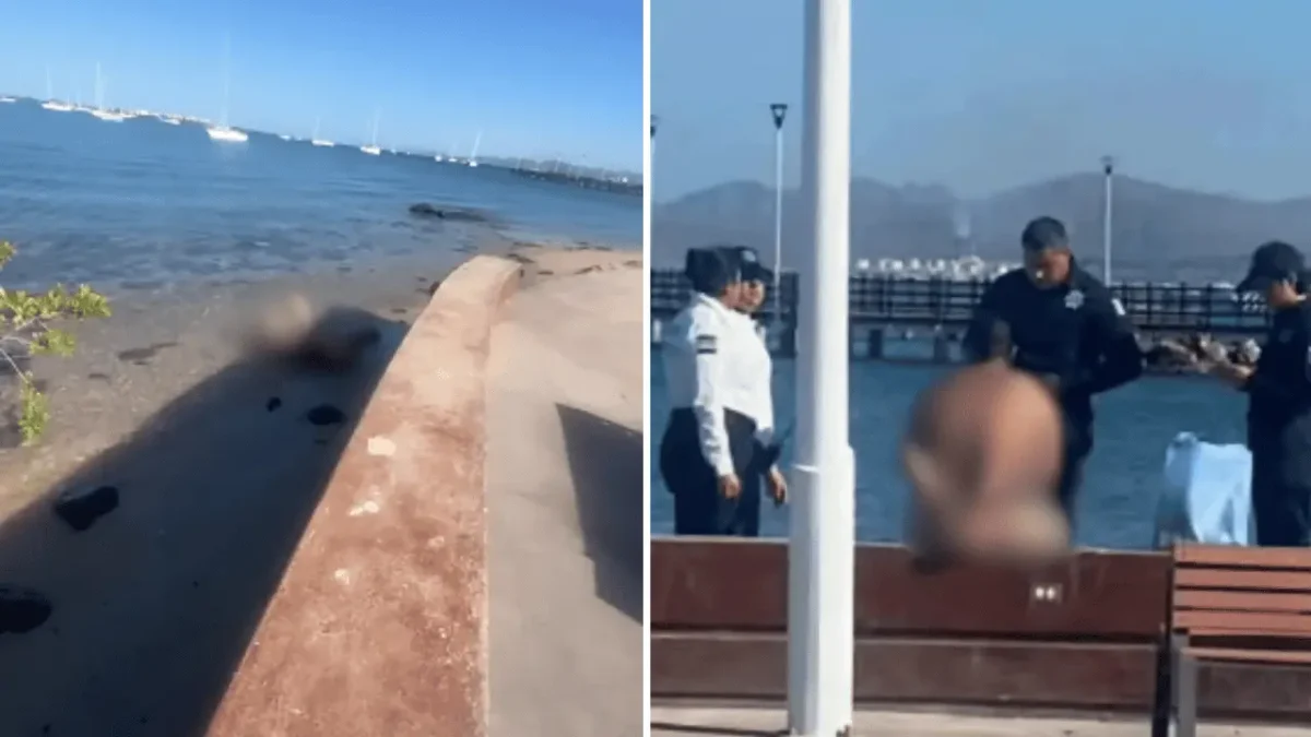 Hombre es detenido tras ser captado sin ropa en el malecón de La Paz