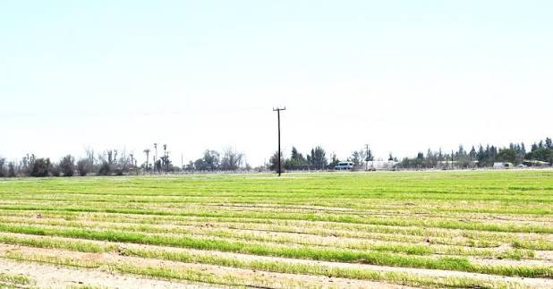 SEPADA BCS evalúa daños al sector primario tras el paso de Polo